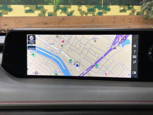 LEXUS UX250h