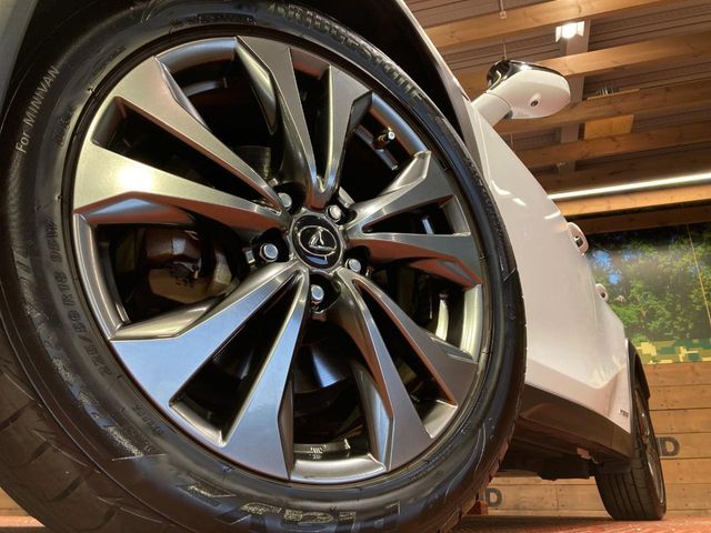 LEXUS UX250h