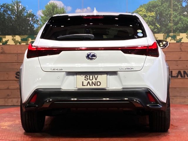 LEXUS UX250h
