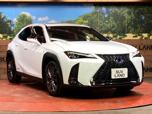 LEXUS UX250h