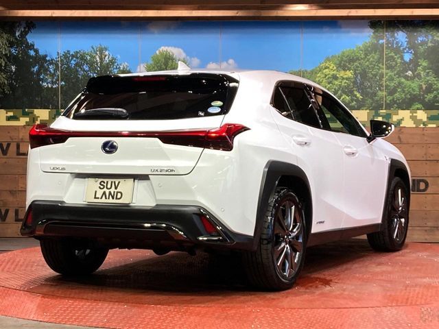 LEXUS UX250h