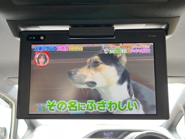 VOXY