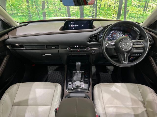 CX-30