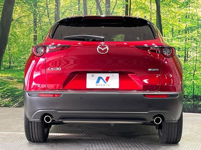 CX-30