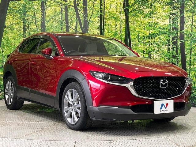 CX-30