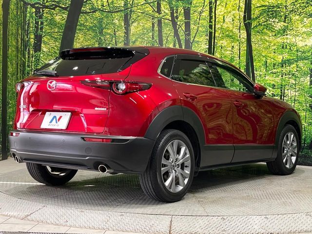 CX-30
