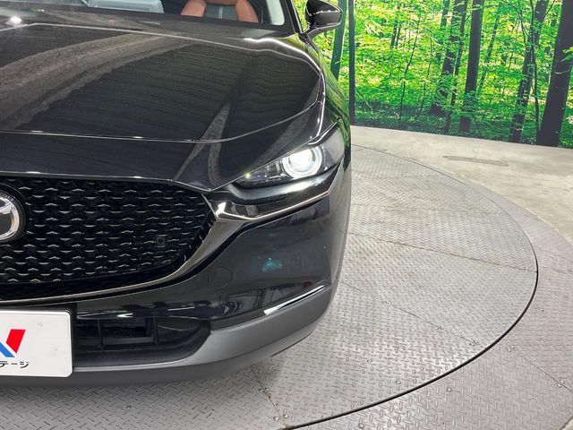 CX-30