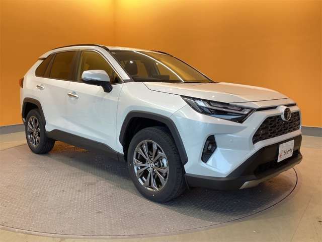 RAV4 HYBRID 4WD
