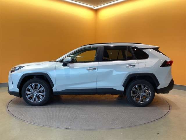 RAV4 HYBRID 4WD