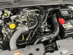 RENAULT LUTECIA