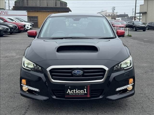 LEVORG