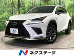 LEXUS NX300