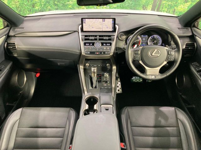 LEXUS NX300