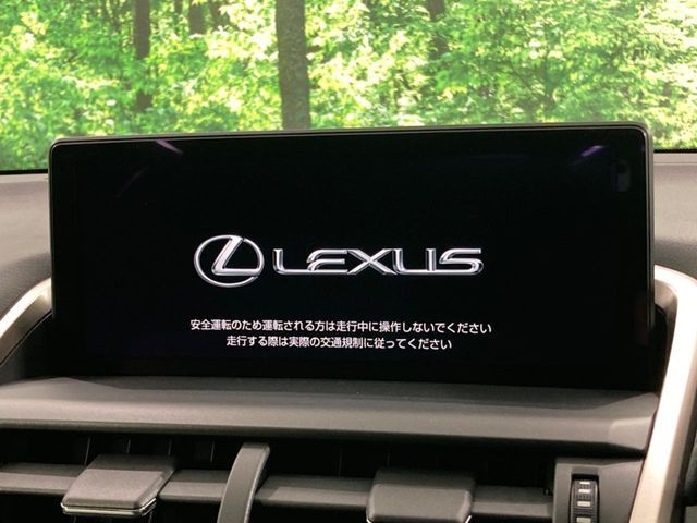 LEXUS NX300