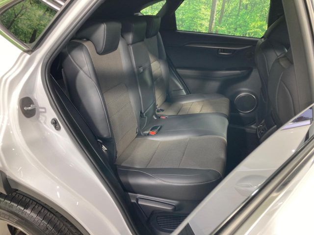 LEXUS NX300