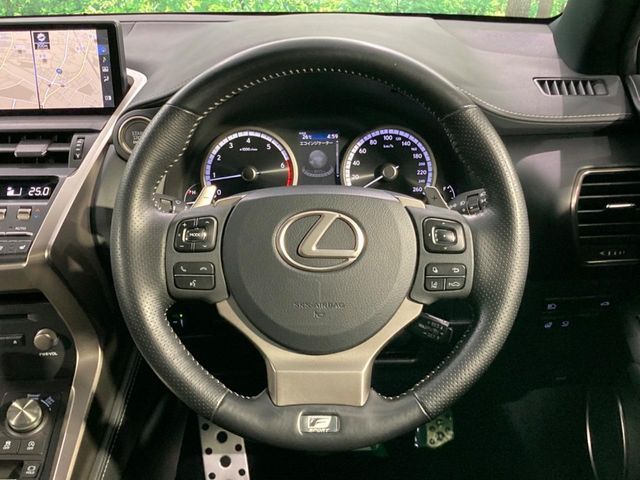 LEXUS NX300