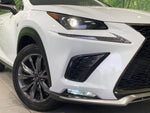 LEXUS NX300
