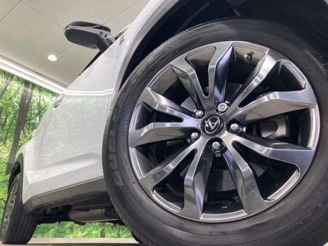 LEXUS NX300