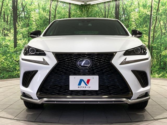 LEXUS NX300