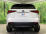 LEXUS NX300