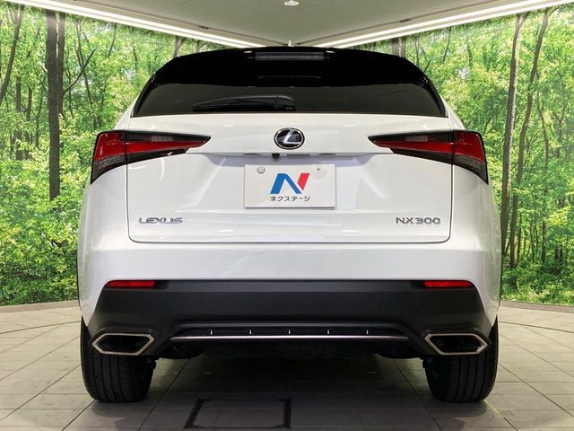 LEXUS NX300