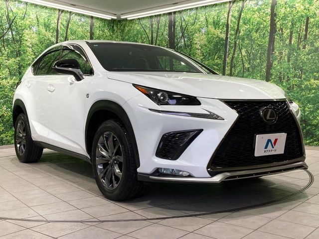 LEXUS NX300