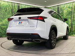 LEXUS NX300