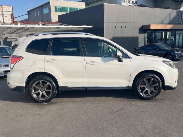 FORESTER