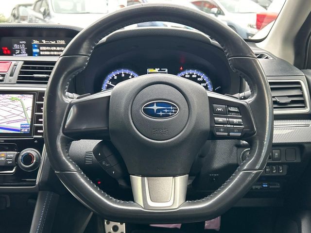 LEVORG