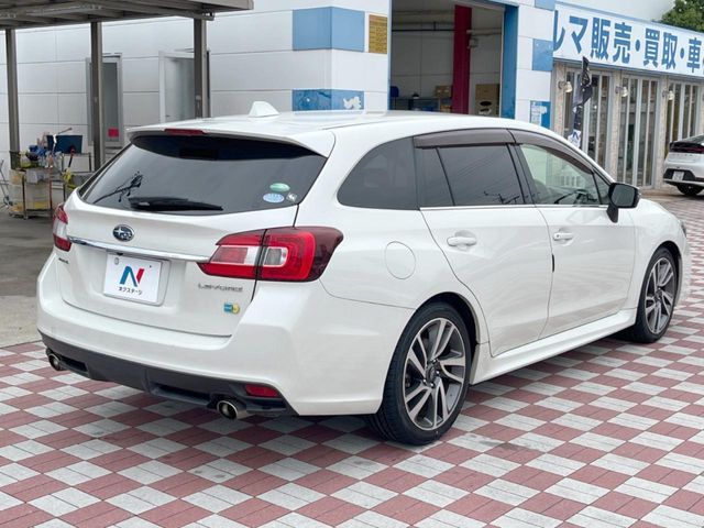 LEVORG