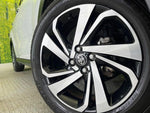 RAIZE