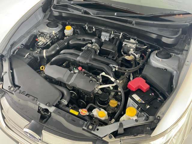 EXIGA CROSSOVER 7