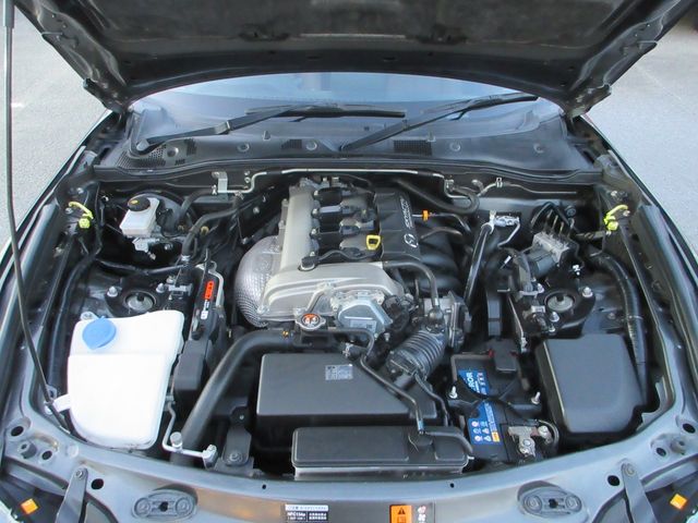 ROADSTER RF