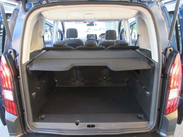 PEUGEOT RIFTER