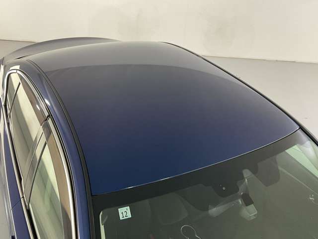SKYLINE HYBRID