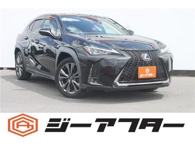 LEXUS UX250h