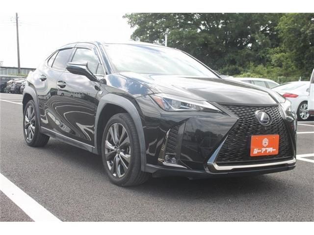 LEXUS UX250h