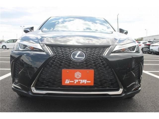 LEXUS UX250h