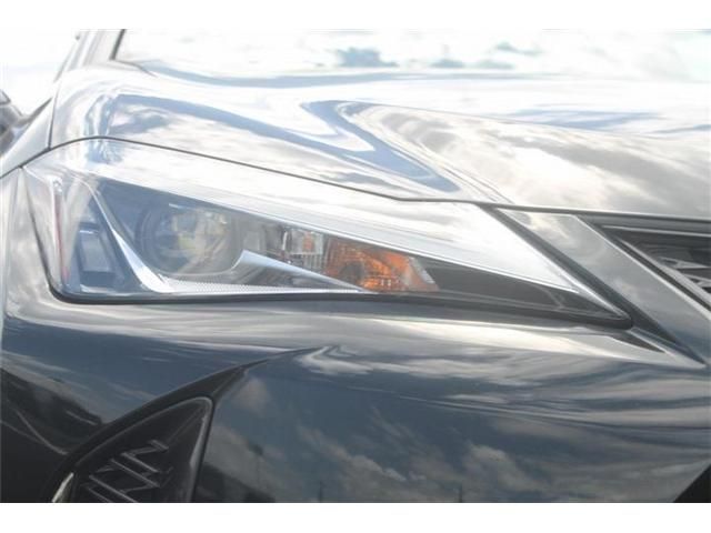 LEXUS UX250h