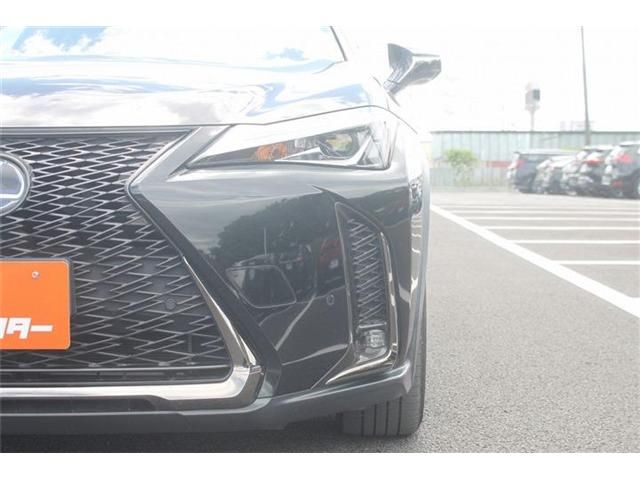 LEXUS UX250h