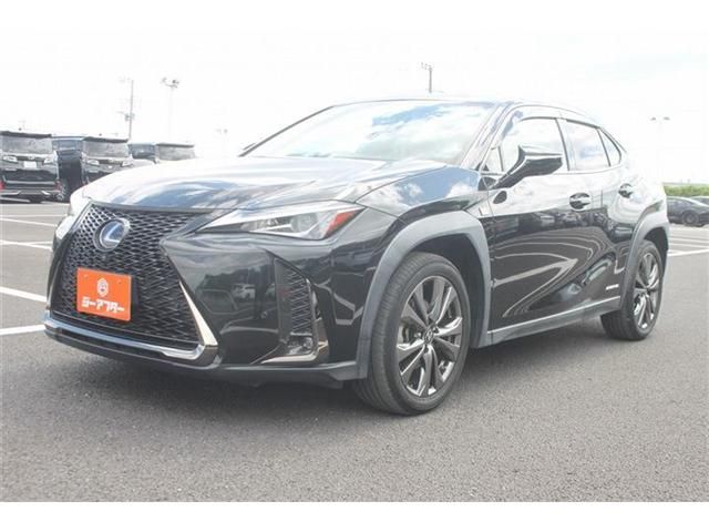 LEXUS UX250h