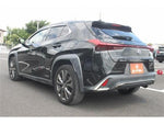 LEXUS UX250h
