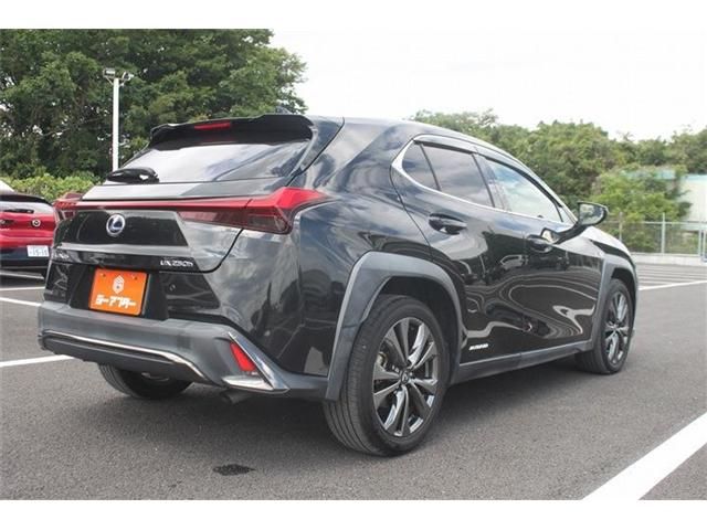 LEXUS UX250h