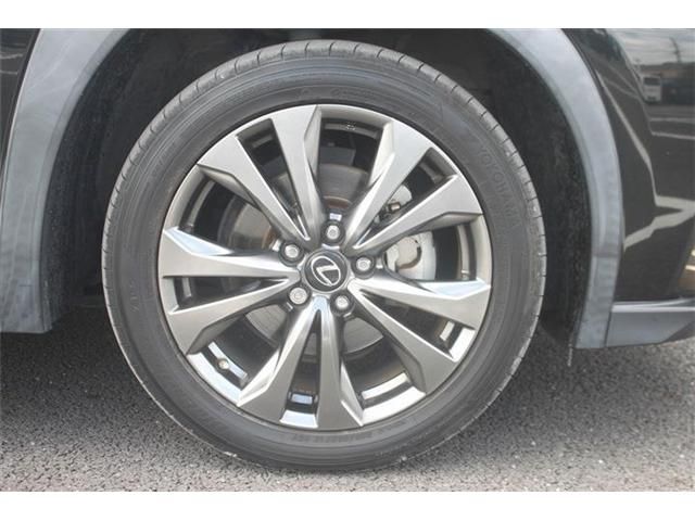 LEXUS UX250h