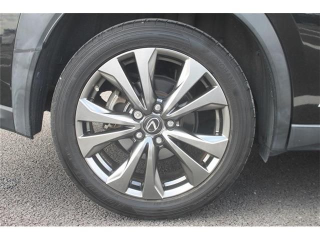 LEXUS UX250h