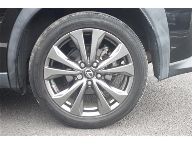 LEXUS UX250h