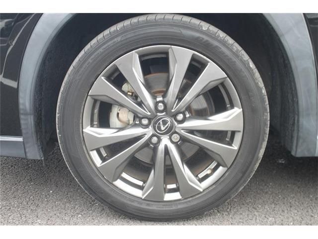 LEXUS UX250h