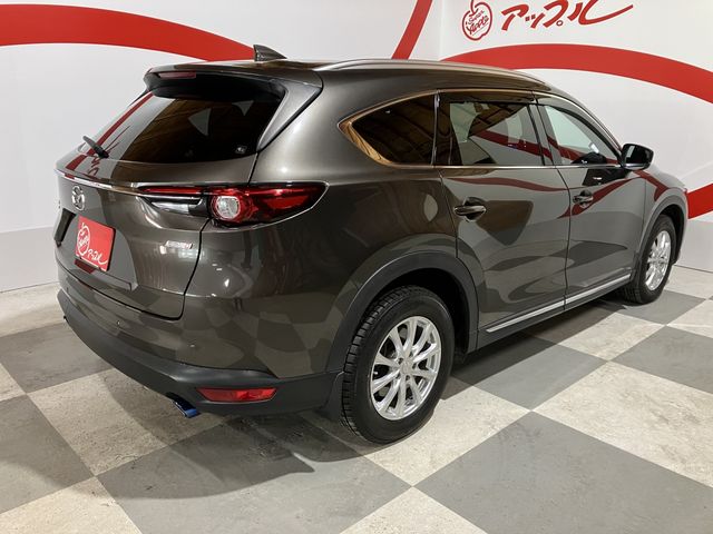 CX-8
