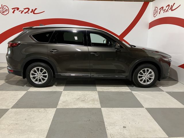 CX-8