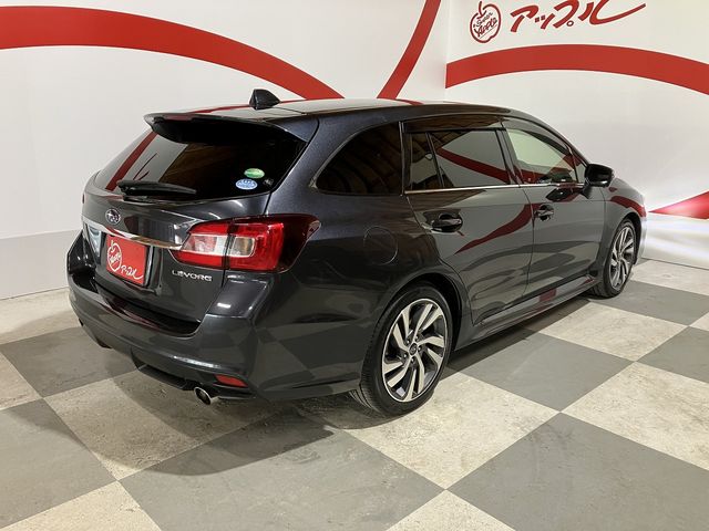 LEVORG